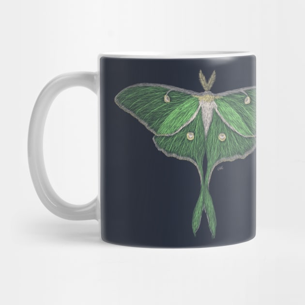 Luna Moth by Walking in Nature